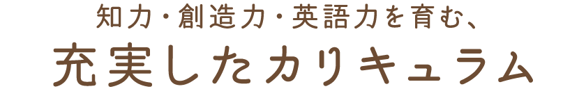 知力・創造力・英語力を育む、 充実したカリキュラム